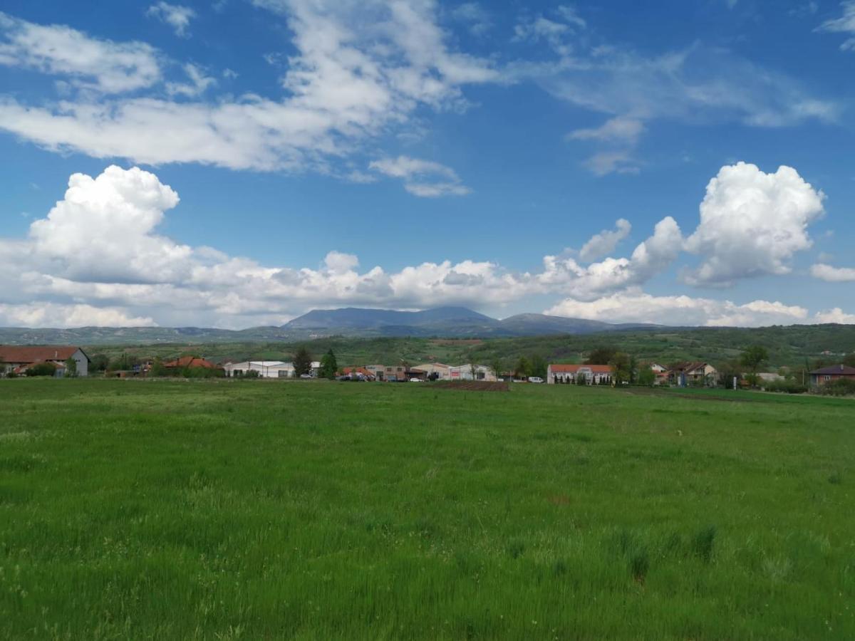 House Milovanovic Soko Banja Dış mekan fotoğraf