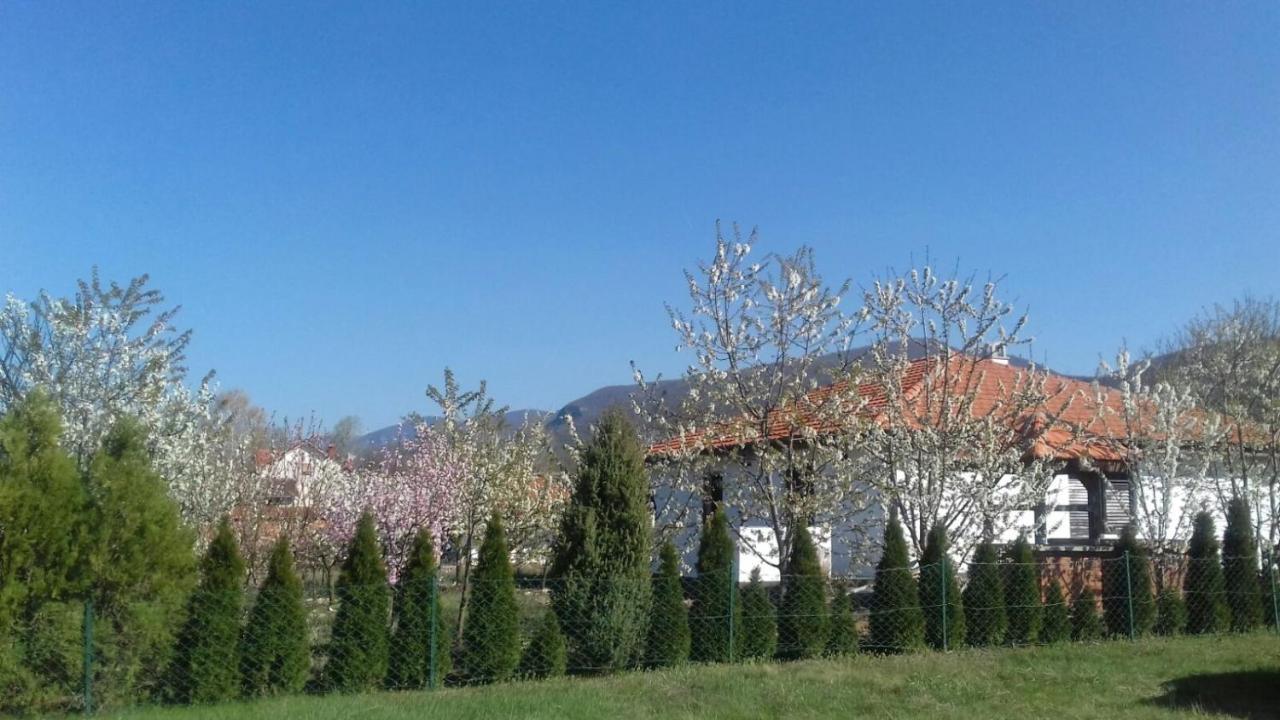 House Milovanovic Soko Banja Dış mekan fotoğraf