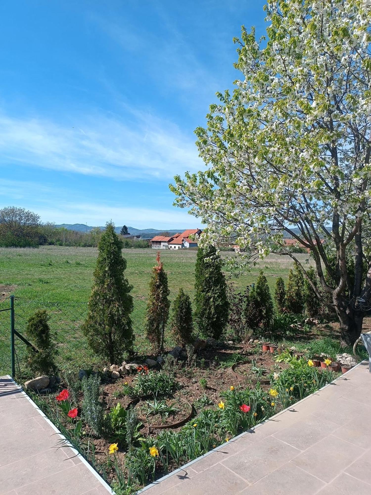 House Milovanovic Soko Banja Dış mekan fotoğraf