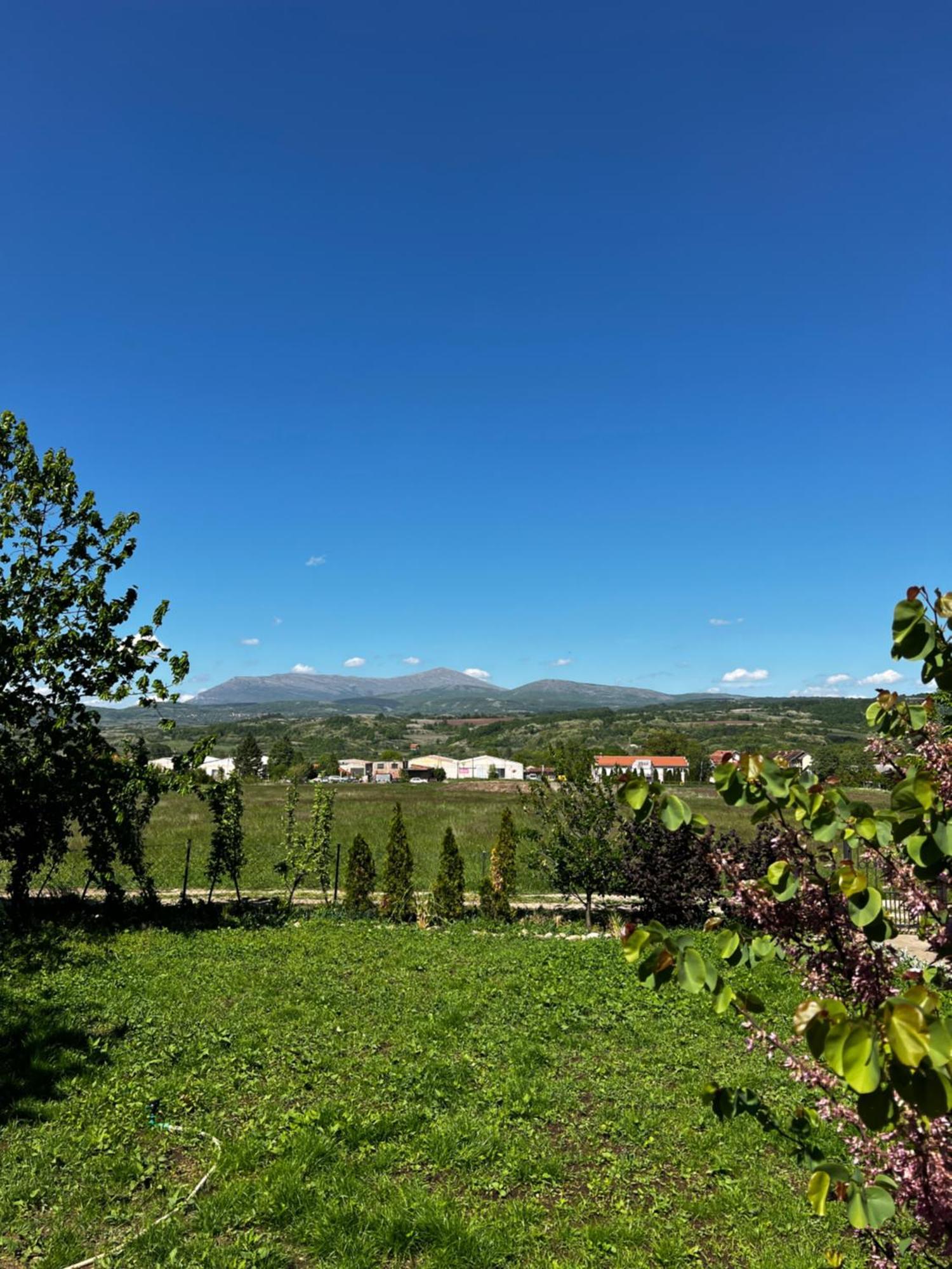 House Milovanovic Soko Banja Dış mekan fotoğraf