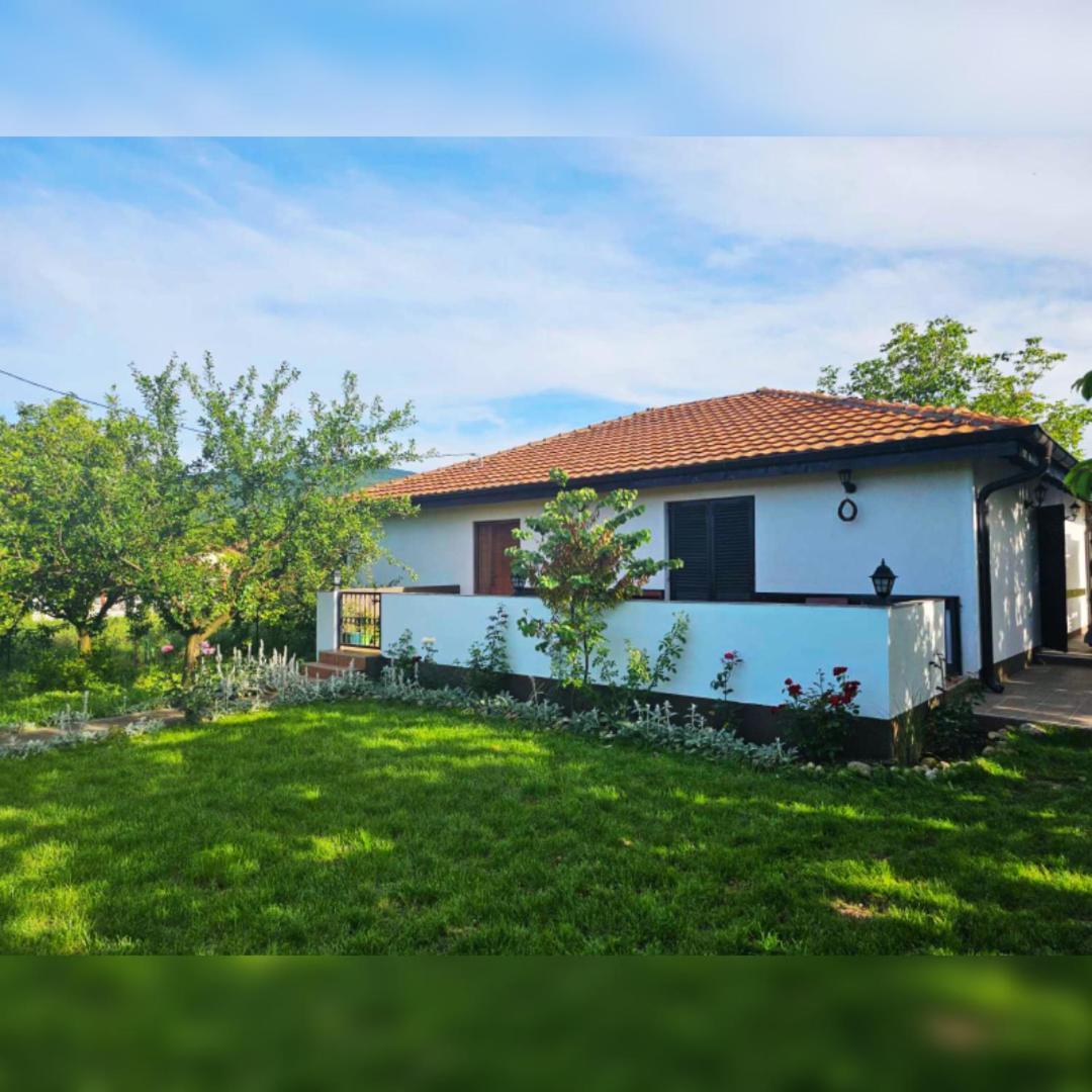 House Milovanovic Soko Banja Dış mekan fotoğraf