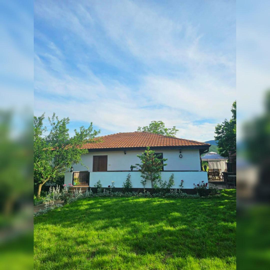 House Milovanovic Soko Banja Dış mekan fotoğraf